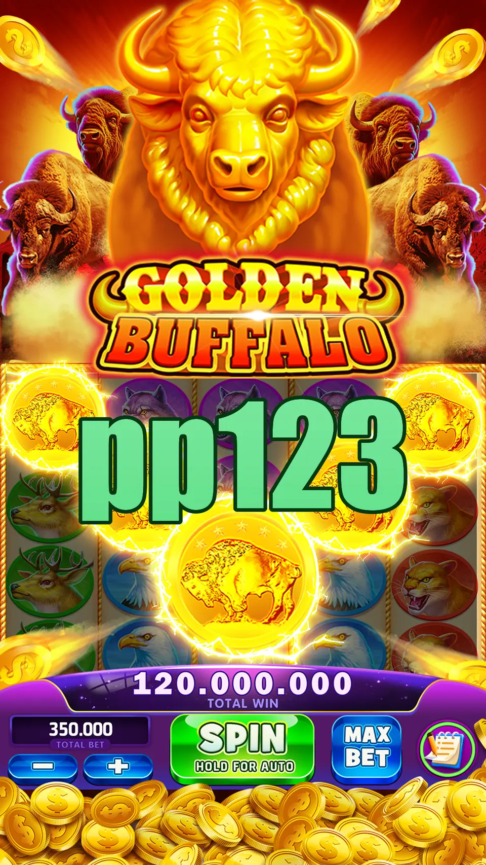 pp123 Preview